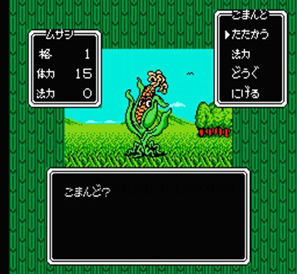 ムサシの冒険