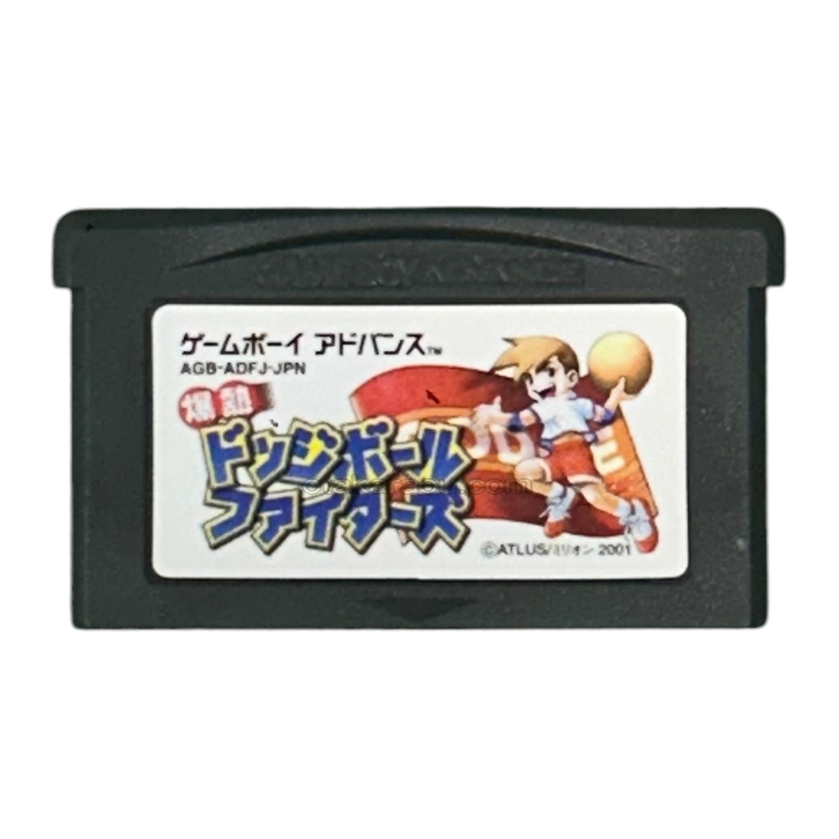爆熱ドッジボールファイターズ