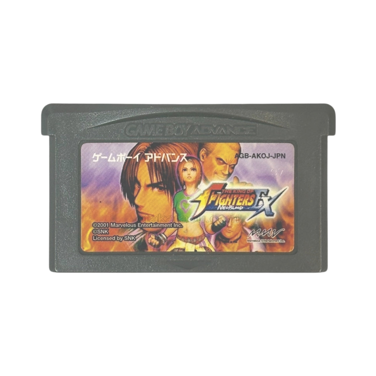 THE KING OF FIGHTERS EX NEO BLOOD