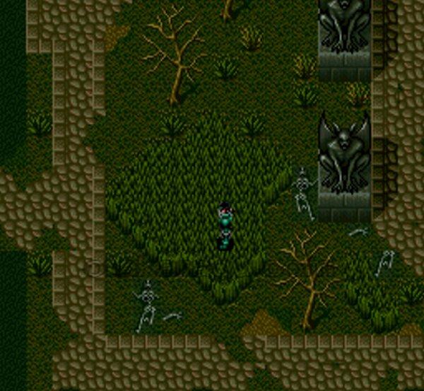 Dark Kingdom