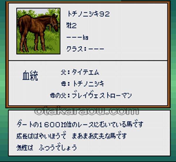 サラブレッドブリーダー