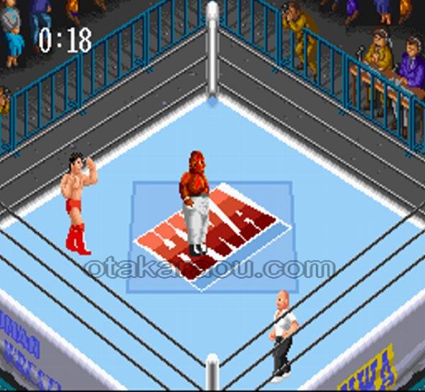 スーパーファイヤープロレスリング2