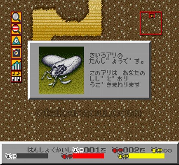 シムアント