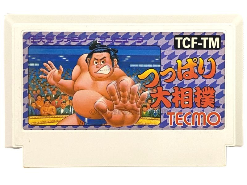 Super Sumo Wrestling
