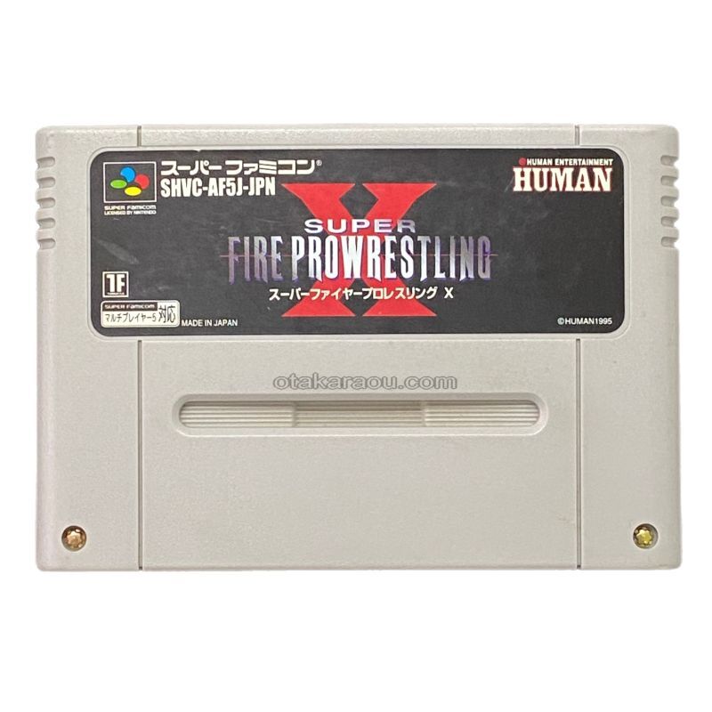 スーパーファイヤープロレスリングX