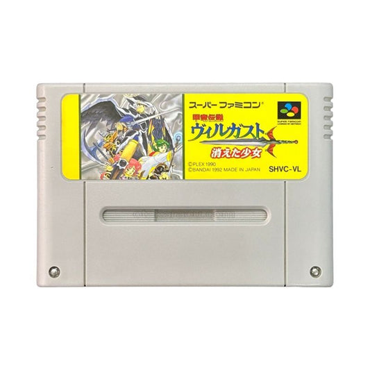 甲竜伝説 ヴィルガスト 消えた少女