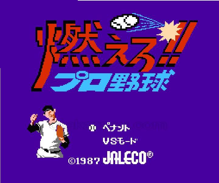燃えろ!! プロ野球