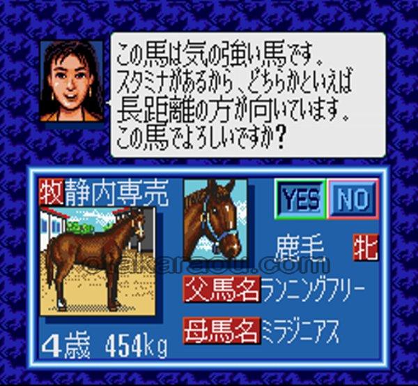 ウイニングポスト