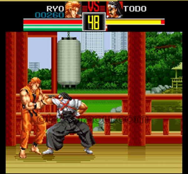 龍虎の拳