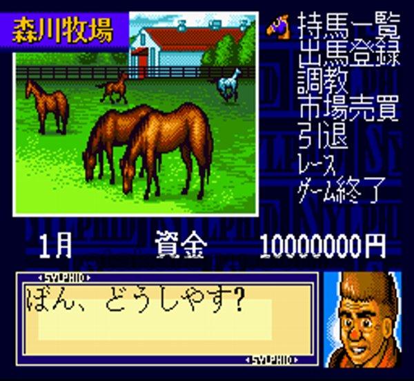 スーパー競走馬 風のシルフィールド
