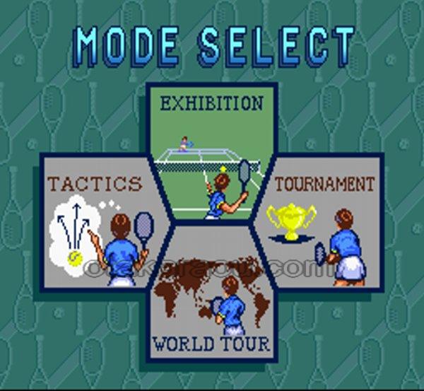 伊達公子のバーチャルテニス