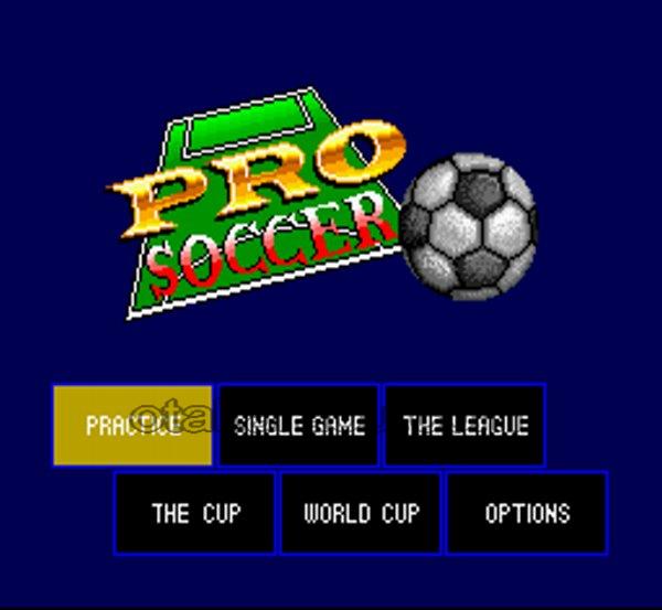 プロサッカー