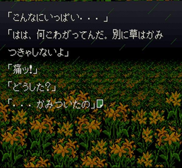 弟切草