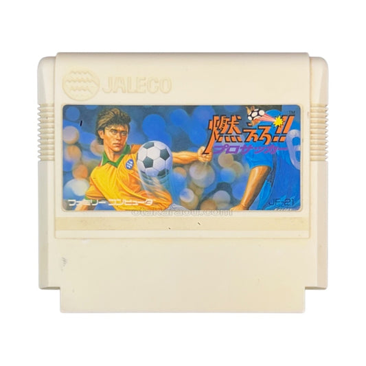 燃えろ!! プロサッカー