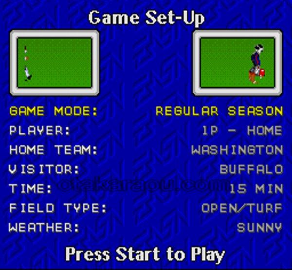 Pro Football 93