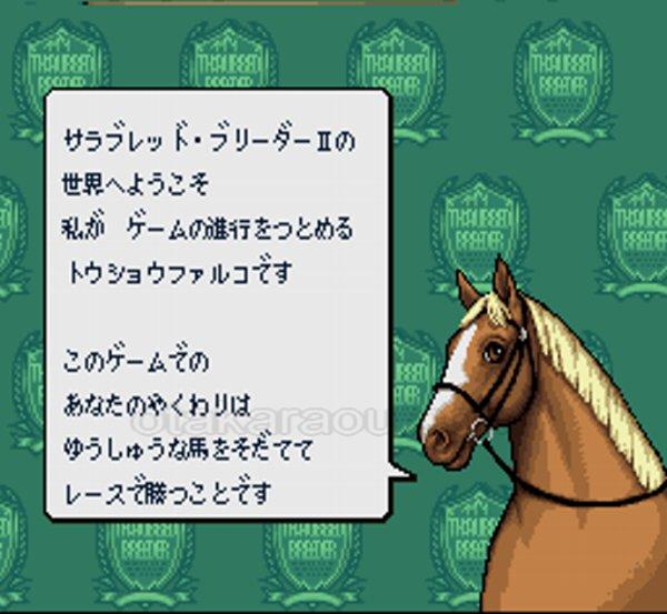 サラブレッドブリーダーII