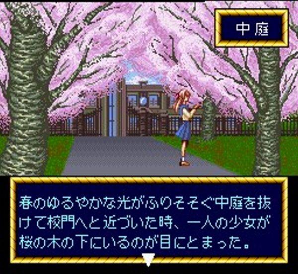 できたてハイスクール