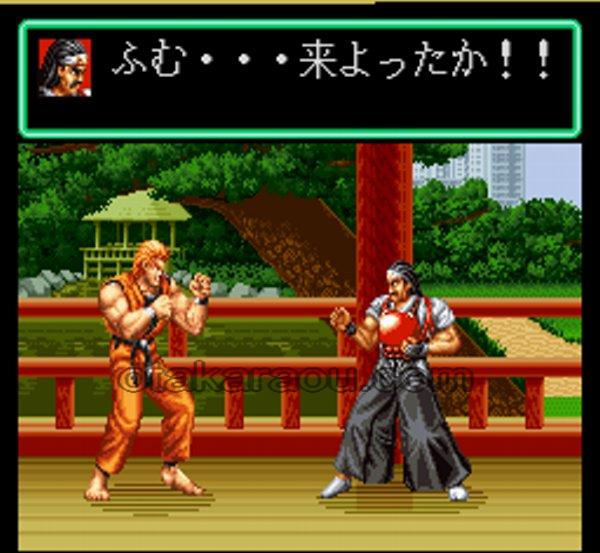 龍虎の拳