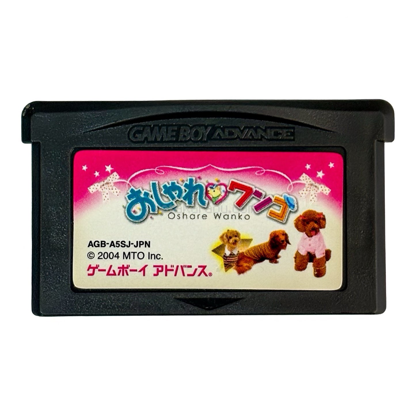 おしゃれワンコ