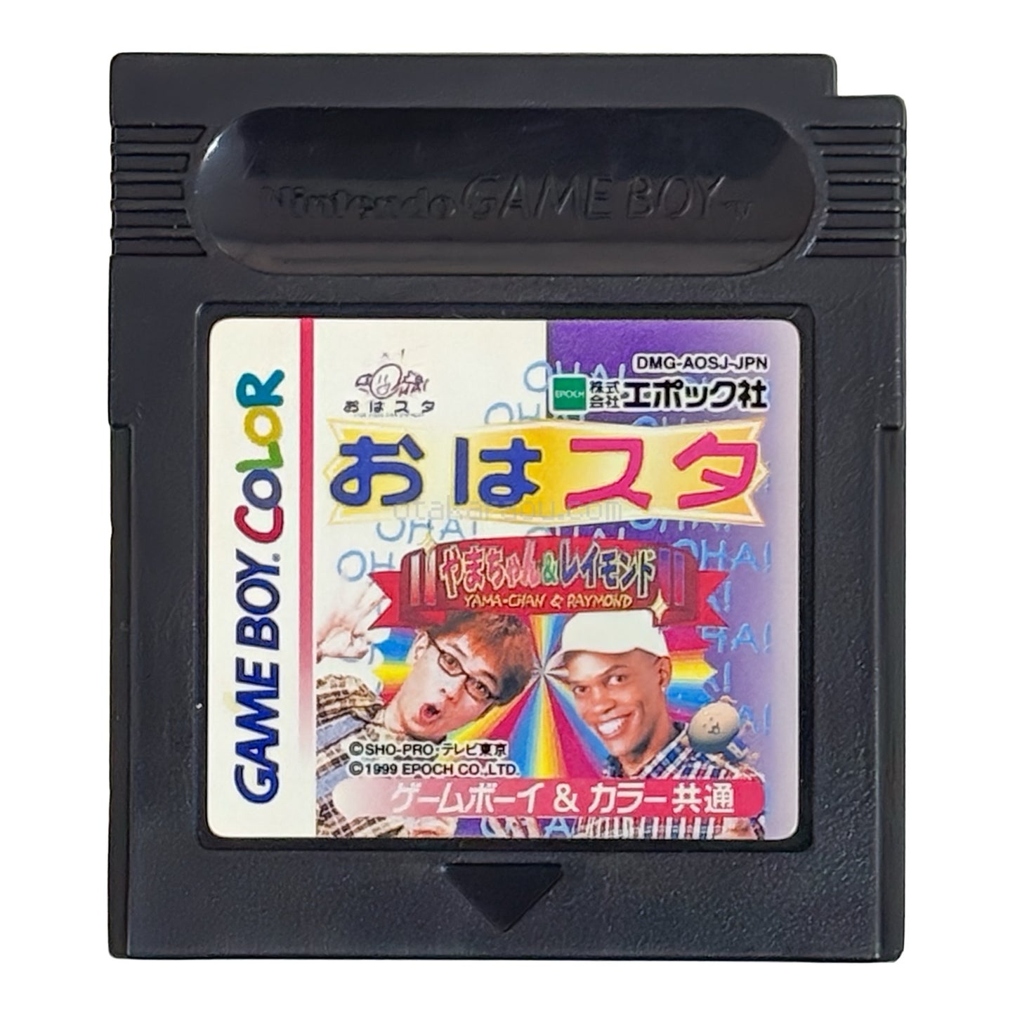 おはスタ やまちゃん&レイモンド
